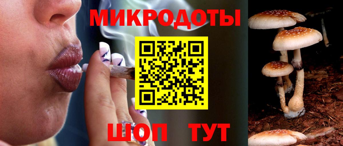 Нарткала  Псилоцибиновые грибы MAGIC MUSHROOMS  Вход с VPN  Псилоцибиновые грибы мухоморы 